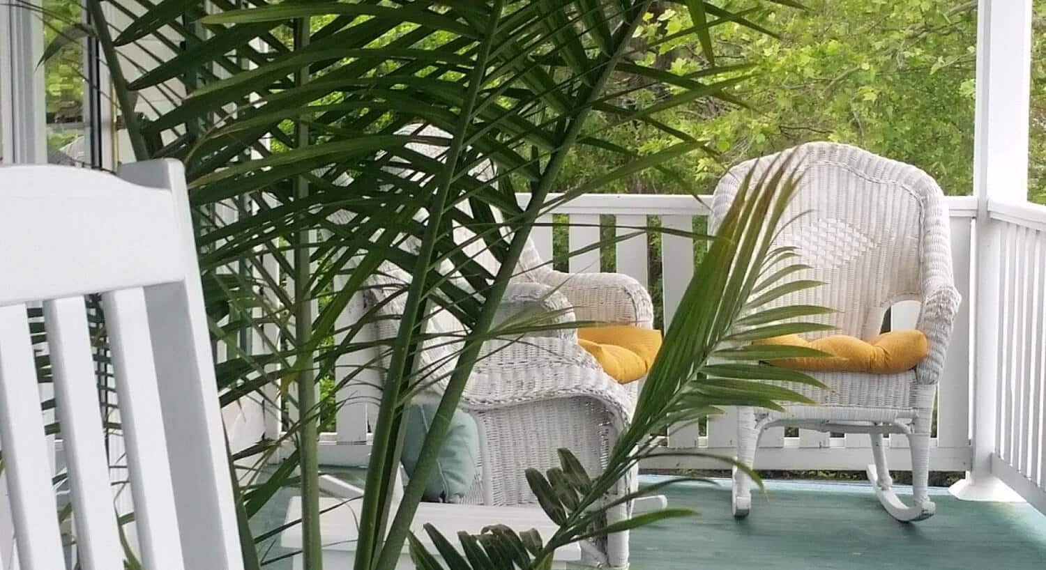 Wooden and wicker white rocking chairs on the porch with a palm plant. 