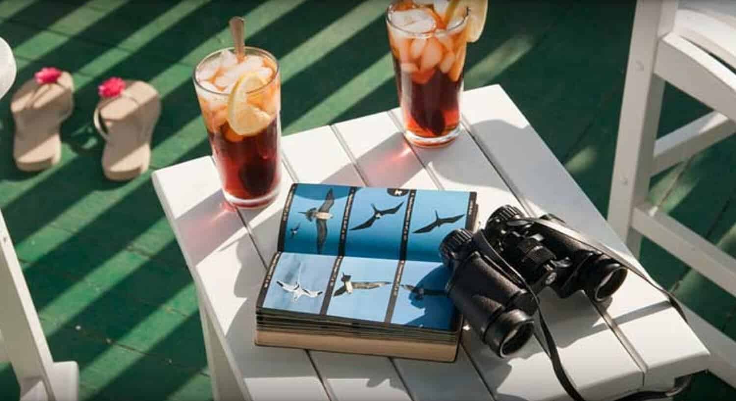 Two glasses of iced tea, a bird book and binoculars ona table between two patio chairs.  