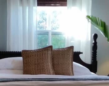 Wooden bedframe with white bedding under a window with sheer curtains.