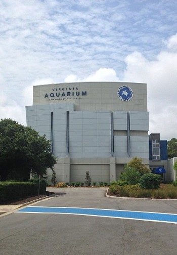 Large white building with unique architecture - the Virginia Aquarium.