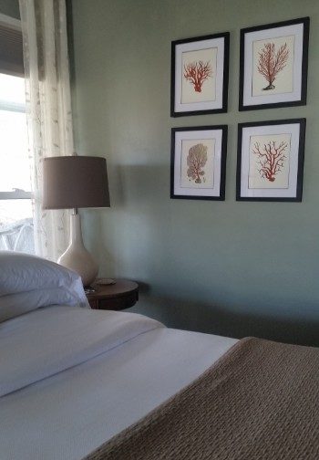 Bed made up in white and beige next to a wall with beach-plant themed pictures in black frames.
