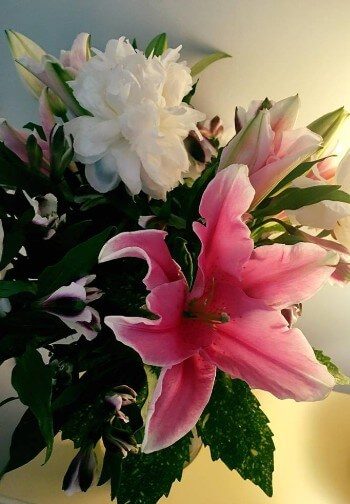 Lovely bouquet of pink iris and white flowers with greenery.